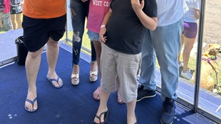 Foto Cãominhada acasale Pet 13