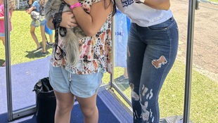 Foto Cãominhada acasale Pet 19