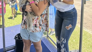 Foto Cãominhada acasale Pet 19