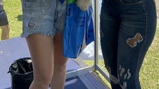 Foto Cãominhada acasale Pet 23