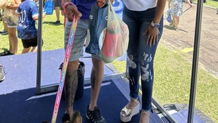 Foto Cãominhada acasale Pet 23