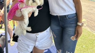 Foto Cãominhada acasale Pet 31