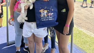 Foto Cãominhada acasale Pet 31