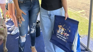 Foto Cãominhada acasale Pet 33