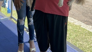 Foto Cãominhada acasale Pet 37