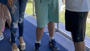 Foto Cãominhada acasale Pet 43