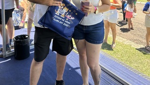 Foto Cãominhada acasale Pet 61