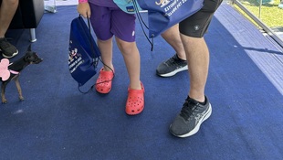 Foto Cãominhada acasale Pet 63