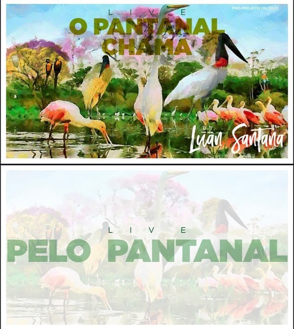 Luan Santana anuncia live no Pantanal para alertar sobre queimadas