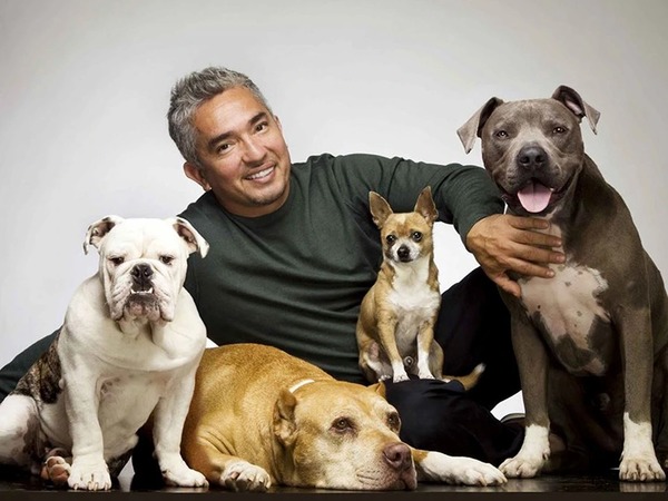 "Encantadores de Pets" estreia na tela da TV Clube/Band neste sábado