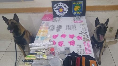 Canil do Baep localiza drogas em condomínio da região