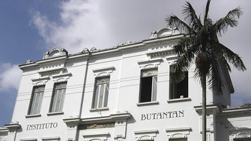 Butantan vai pedir autorização da Anvisa para testes em humanos de soro anti-Covid