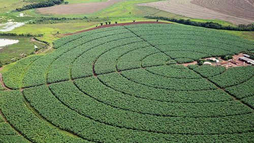 IBGE prevê safra recorde de 264,9 milhões de toneladas para 2021