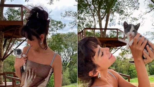 Bruna Marquezine e Enzo Celulari adotam gata: "Nossa filha"