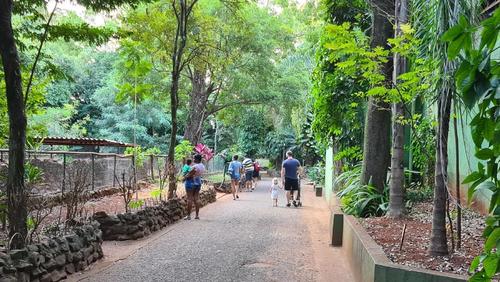 Após quase dois meses, Bosque reabre ao público em Ribeirão Preto