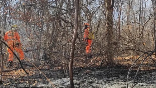 Polícia Militar autua suspeito de causar incêndio em Minas Gerais