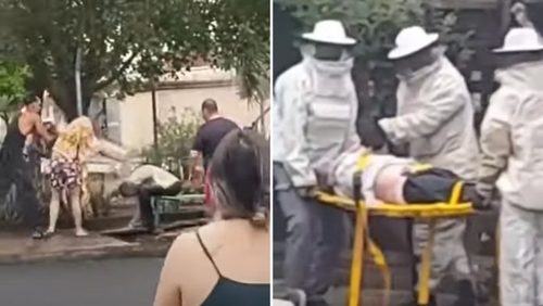 Morre idoso atacado por abelhas em ponto de ônibus de Ribeirão Preto