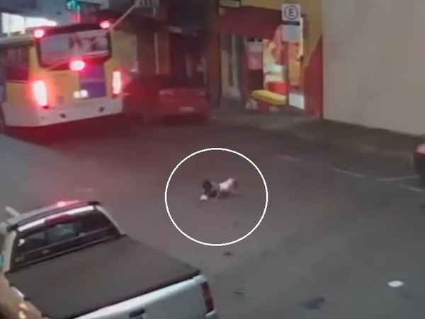 Criança é arremessada para fora do carro e sobrevive após acidente; veja as imagens