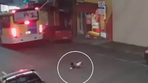 Criança é arremessada para fora do carro e sobrevive após acidente; veja as imagens