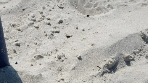 Granada é encontrada enterrada na areia da Praia da Copacabana