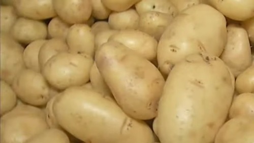 Problema para o consumidor: preço da batata sobe 25% em um ano