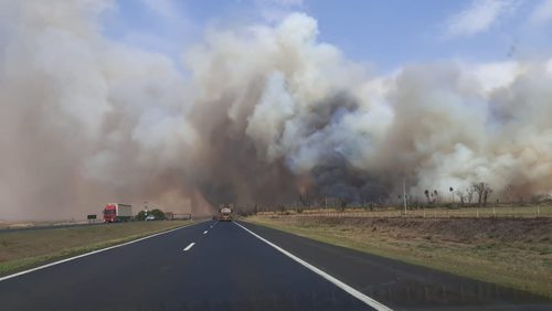 Incêndio pode atingir Distrito Empresarial e Ceagesp de Ribeirão Preto