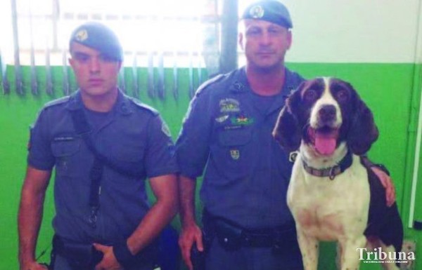 AQUILES FAREJA 56 QUILOS DE DROGA
