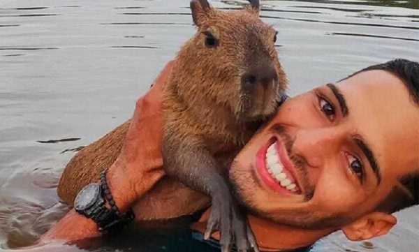 Agenor entrega a capivara Fil&oacute; para o Ibama: &ldquo;Decis&atilde;o dolorosa pelo bem  dela&rdquo; - Not&iacute;cias - Clube FM 100.5