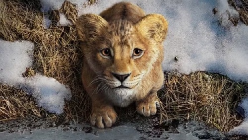 Mufasa: O Rei Leão ganha primeiro trailer e revela Blue Ivy Carter no elenco