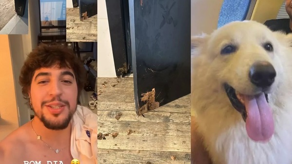 Nattan se diverte com cachorros destruindo porta do estúdio de Henrique e Juliano