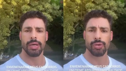 Cauã Reymond revela que seus cães foram vítimas de envenenamento