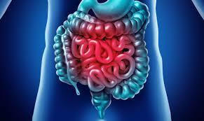 #Saúde&NutriçãoMelody: Intestino - Você já ouviu falar que o nosso intestino é o nosso segundo cérebro?