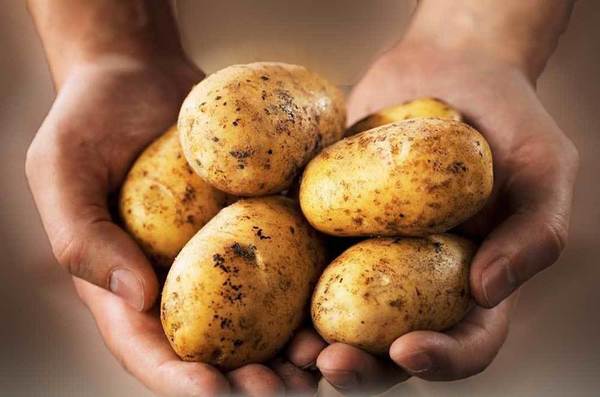 #SempreLindaMelody: USAR BATATA PARA RUGAS