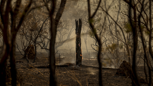 Bolívia ultrapassa o Brasil em focos de incêndio, aponta Inpe