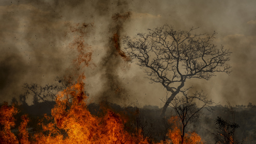 Governo Federal estuda medidas para aumentar a pena em casos de incêndios criminosos