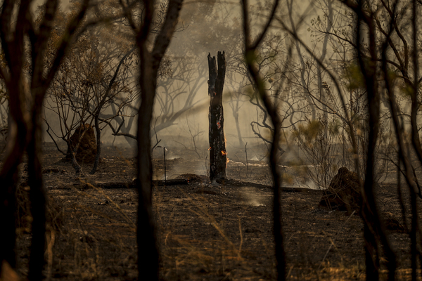 Incêndios no Brasil já devastaram área correspondente a quase três vezes o tamanho do RJ