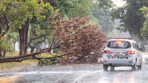 Semana terá calor e chuva em Ribeirão Preto