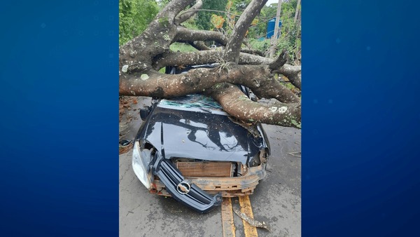 Defesa Civil confirma duas mortes em decorrência das chuvas em SP