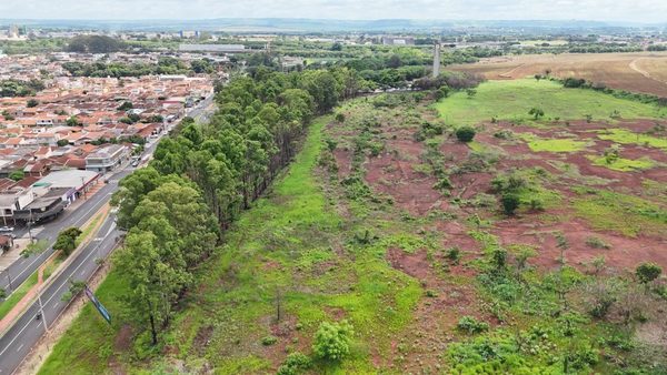 Obra do Centro Administrativo obriga prefeitura de Ribeirão Preto a plantar 1.800 árvores 