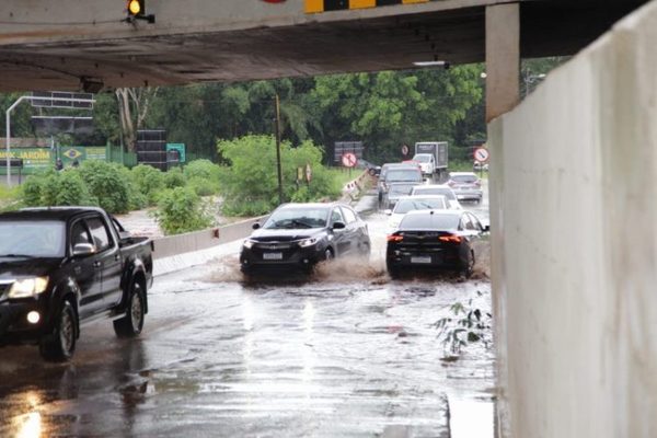 Alagamento, lama e queda de árvores: temporal causa transtorno em Ribeirão Preto