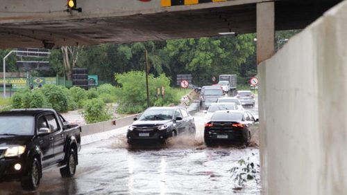 Alagamento, lama e queda de árvores: temporal causa transtorno em Ribeirão Preto