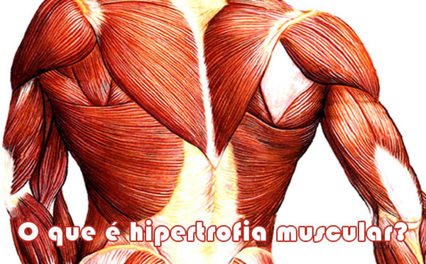 #Saúde&NutriçãoMelody: Hipertrofia Muscular