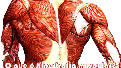 #Saúde&NutriçãoMelody: Hipertrofia Muscular