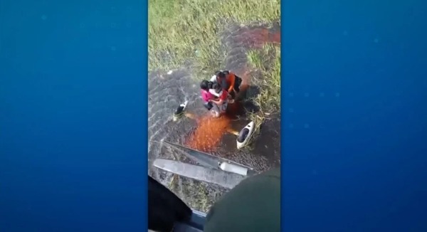 Sobreviventes de acidente de avião passam 36h em pântano com jacarés na Bolívia