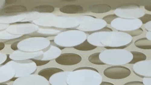 Do agro pra o altar: hóstias são feitas com trigo de alta qualidade e água