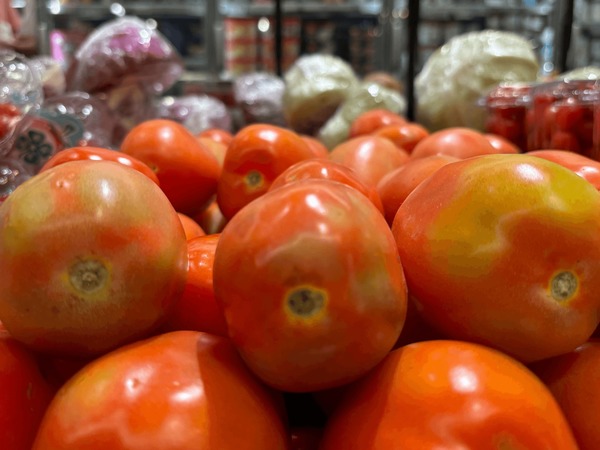 Clima faz o preço do tomate subir mais em todo o Brasil; entenda os motivos