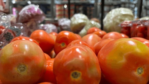 Clima faz o preço do tomate subir mais em todo o Brasil; entenda os motivos