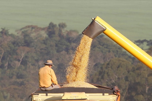 Produção de etanol de milho cresce 1700% no Brasil em sete anos