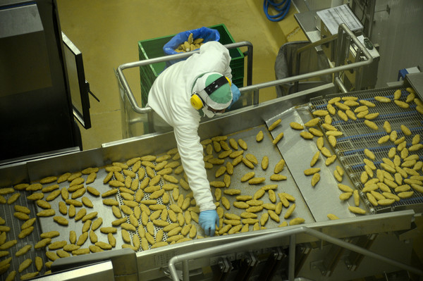 China paralisa compra de frango do Brasil após detecção de gripe aviária, diz ministro