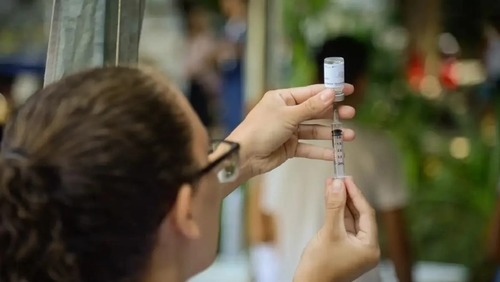 Vacina brasileira contra gripe aviária aguarda fase de testes em humanos